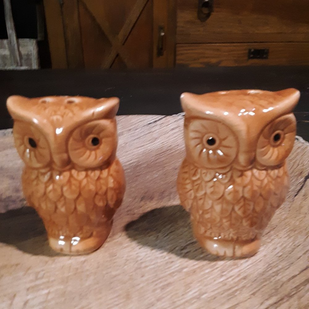 Adorable ceramic owl salt and pepper shakers